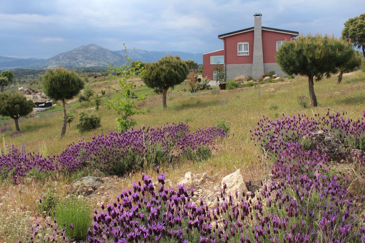 Finca el enebro Valdemorillo Exterior foto